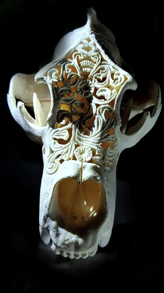 Trofeu de pradator sculptat manual